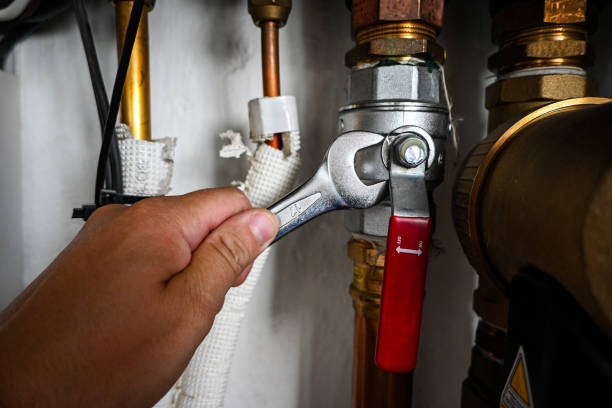 Best Commercial Plumbing Services  in Mackinac Island, MI